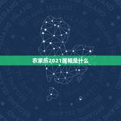 农家历2021属相是什么，2021大年三十属什么生肖？