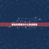 属兔的婚姻与什么属相最配，属兔与什么生肖配最合适