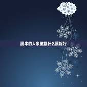 属牛的人家里摆什么属相好，属牛家中摆放什么饰品