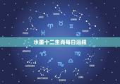 水墨十二生肖每日运程，十二生肖运势查询