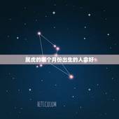属虎的哪个月份出生的人命好，1998年虎女一辈子命运