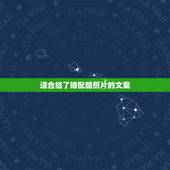 适合结了婚配酷照片的文案，寻：可以放到婚纱照片上的文案