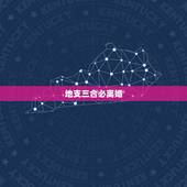地支三合必离婚，请问，地支三合，这样算是一种贵人吗？