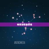 梅花泪歌曲原唱，梅花泪歌曲原唱是谁？