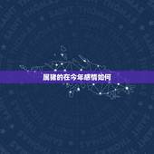 属猪的在今年感情如何，如何挽回老婆的感情