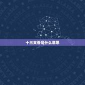 十三支香是什么意思，拜用13支香有什么含义？