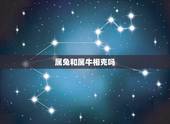 属兔和属牛相克吗，男兔女牛夫妻属相合吗