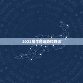 2022属牛的运势和财运，1973年属牛人在2022年的运势