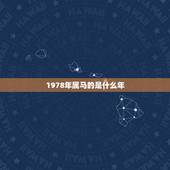 1978年属马的是什么年，78年属马是什么命
