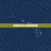 男属猪的和女属狗相婚配，谁可以告诉我男属猪的处女座和女属狗的天蝎座配吗