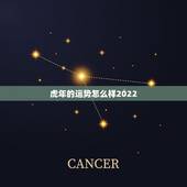 虎年的运势怎么样2022，2022年虎年宜生子的属相