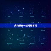 虎和猴在一起对谁不利 属虎人一生最克谁