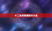 十二生肖婚姻配对大全，十二生肖姻缘配对