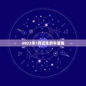 2022年1月出生的牛宝宝，2022年虎几月宝宝最好