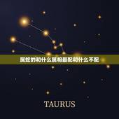 属蛇的和什么属相最配和什么不配，属蛇的人和什么属相的人最般配？
