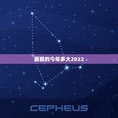 属猴的今年多大2022，1980属猴的40岁以后