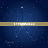 十二生肖的命运和运势，难道生肖不和就会影响运气吗