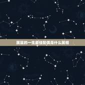 属鼠的一生最佳配偶是什么属相，女1988.9.25农历最佳配偶属相