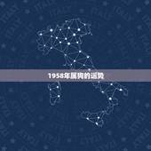 1958年属狗的运势，属狗人在2018年会有怎样的运势？