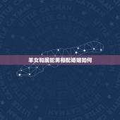 羊女和属蛇男相配婚姻如何，属蛇的跟羊的婚姻合的来吧