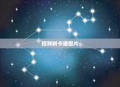招财树卡通图片，招财树和发财树的区别