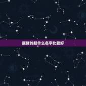 属猪的起什么名字比较好，1983年属猪的取名带什么字好
