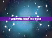 海中金命属相属木是什么意思，海中金是什么意思？
