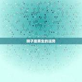 狮子座男生的运势，1975年狮子座男生运势及婚姻状况