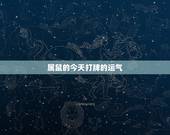 属鼠的今天打牌的运气，测测我今天打牌的手气