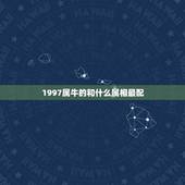1997属牛的和什么属相最配，属牛1997年的女性与什么属相最配