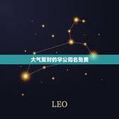 大气聚财的字公司名免费，免费公司起名大全