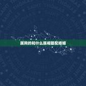 属狗的和什么属相最配婚姻，属狗的和什么属相合得来