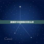 属猪的今年婚姻状况怎么样，83年猪一生有二婚