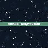 属牛的和属什么属相的做配偶最好，属牛的和什么属相配最好呢！