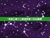 农历二零二一年正月初一什么属相，属相为什么从立春算起