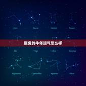 属兔的牛年运气怎么样，属兔宜带什么