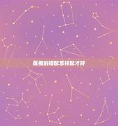 属相的婚配怎样配才好，婚配与属相互相之间怎样适合相配？