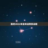 属虎2022年全年运势及运程，属虎2022年运势及运程每月运程