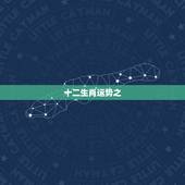 十二生肖运势之，十二生肖运势总结