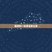 属虎的一生命运怎么样，1986年属虎人(男)，我是早上四点多出生，想知