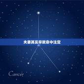 夫妻其实早就命中注定，里说，鼻子代表配偶，为什么啊？