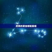 虎男的更佳婚配属相，男属虎适合配偶是什么