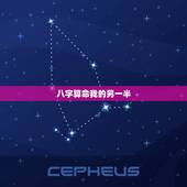 八字算命我的另一半，生辰八字算命未来伴侣