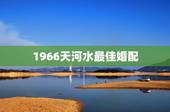 1966天河水最佳婚配，六六年天河水命跟八二年大海水命的人婚姻匹配吗