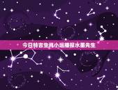 今日特吉生肖小运播报水墨先生，今日吉祥生肖