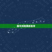 属牛刘姓男孩名字，男孩姓刘叫什么名字好