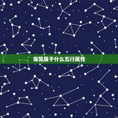 兔是属于什么五行属性，一属于五行中的什么