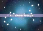 2022年属蛇哪个月适合结婚，2022 年属蛇的几月份结婚更好
