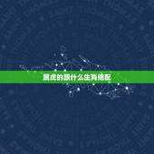 属虎的跟什么生肖绝配，属虎的和什么属相是绝配？