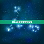 1965年属蛇女微信头像，属蛇男招财微信头像